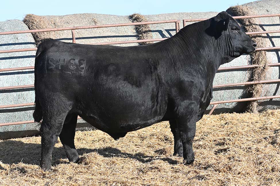 RSA Kansas 3342