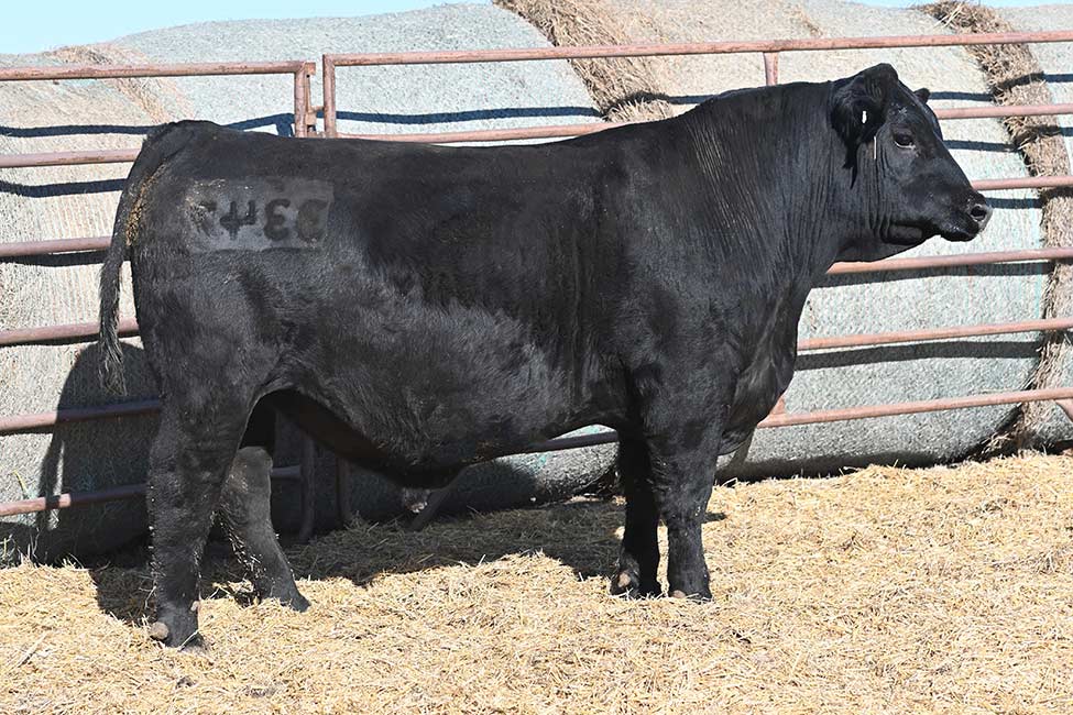 RSA Kansas 3347