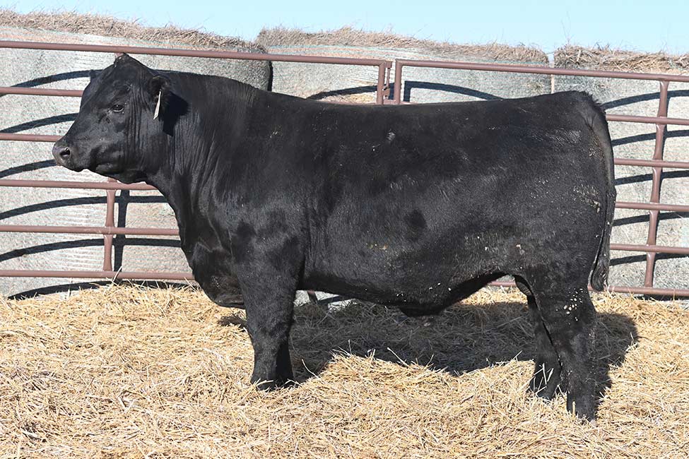 RSA True Balance 4108