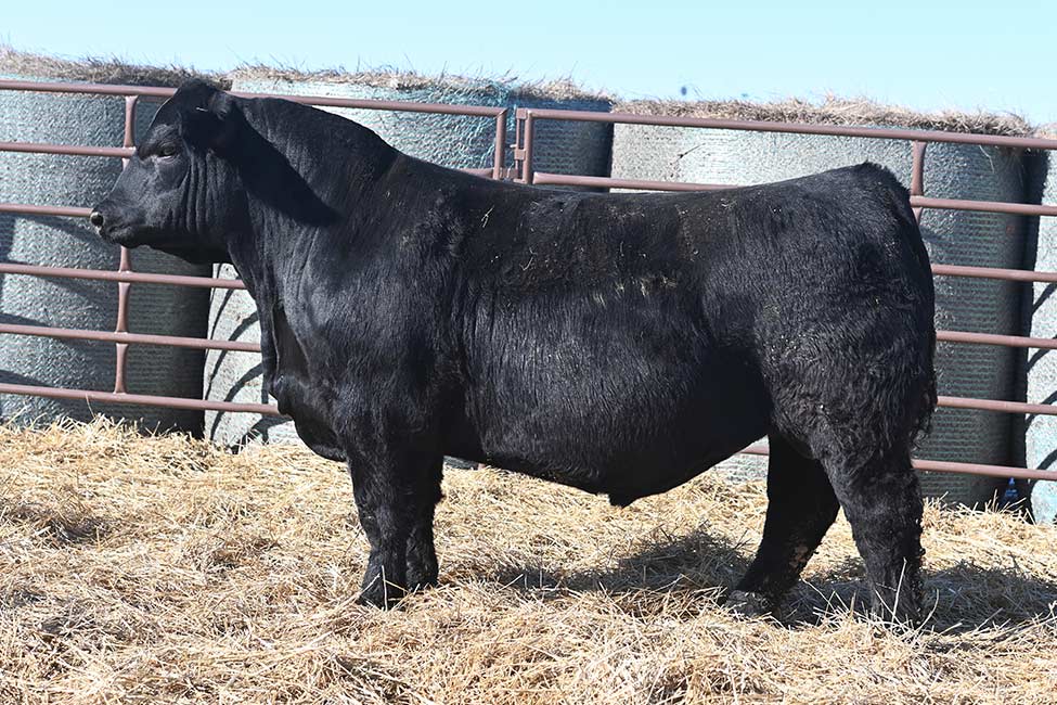 RSSA Medicine Man 4120M