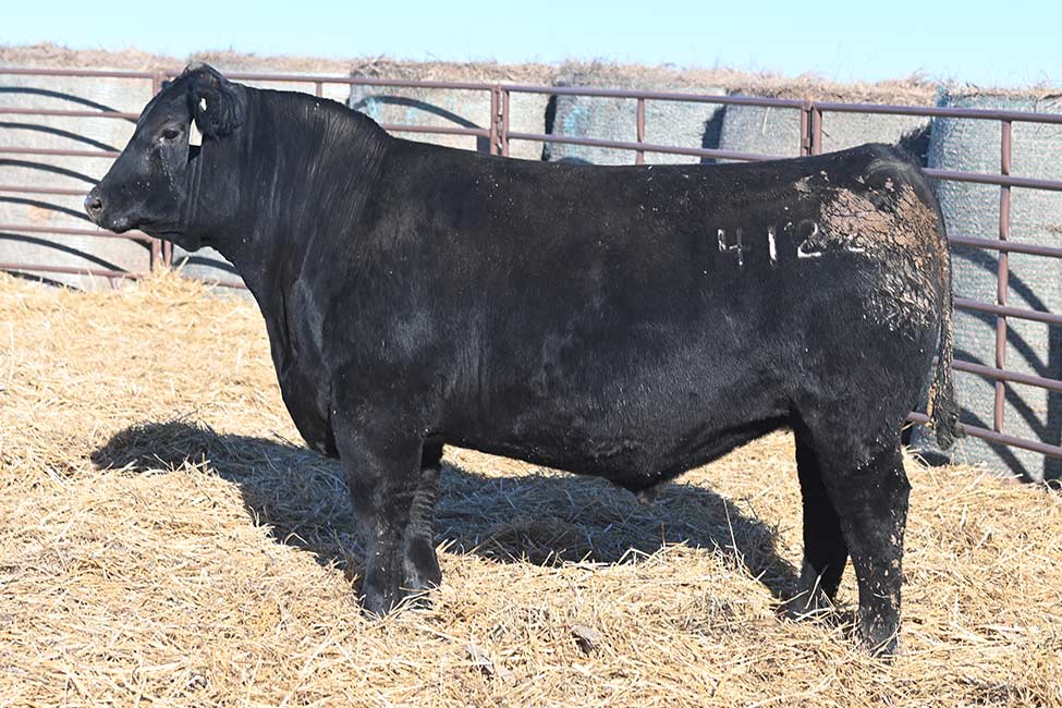 RSA True Balance 4122