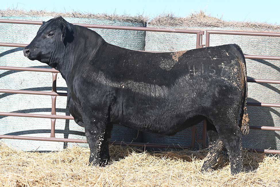 RSA True Balance 4157