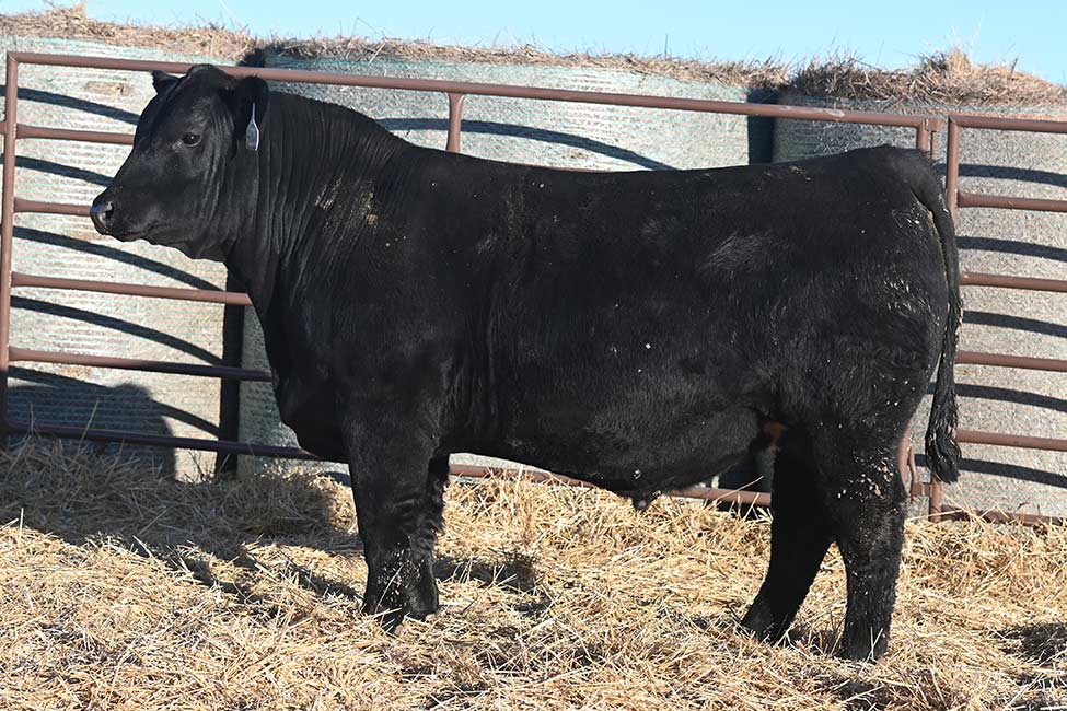 RSA True Balance 4160