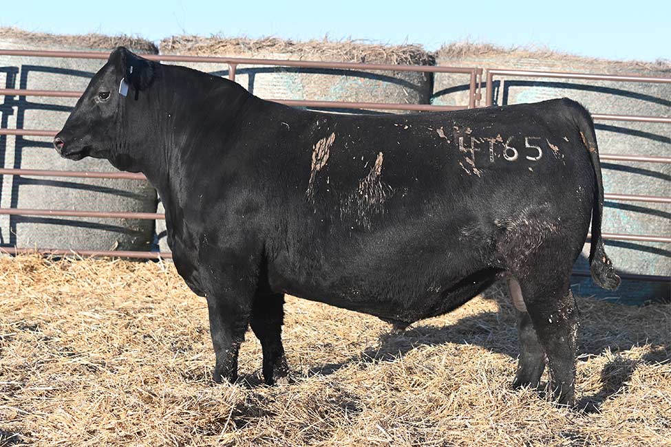 RSA Ball of Fire 4165