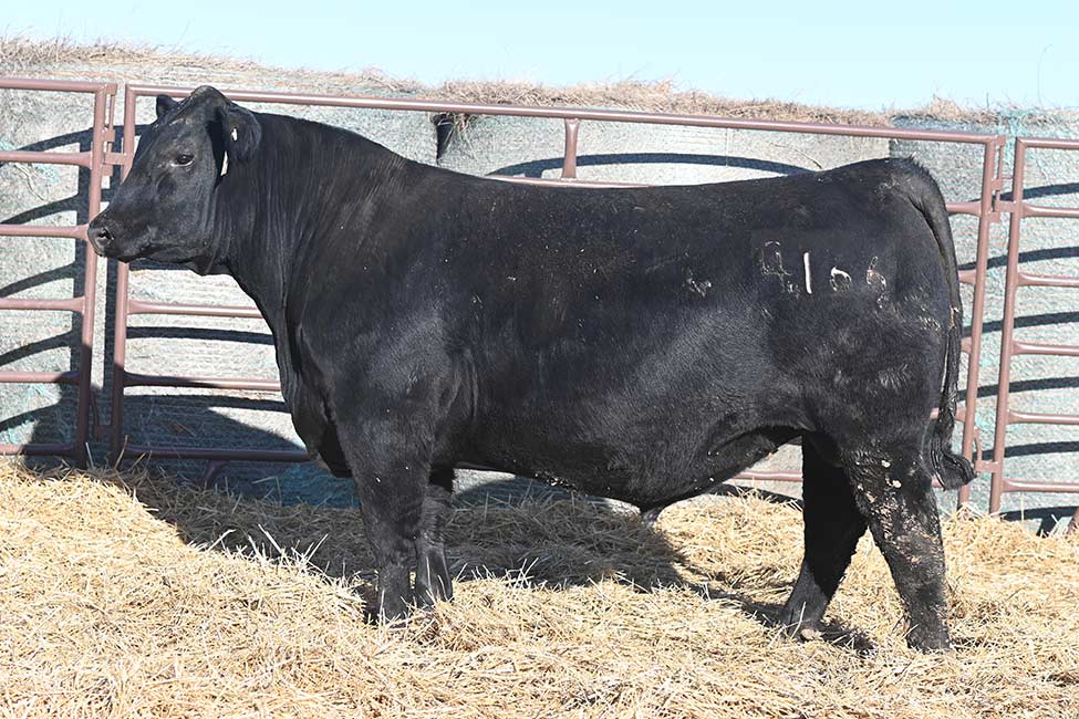 RSA Breakthrough 4166